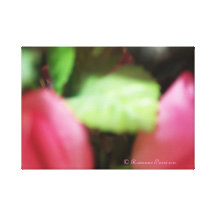 CanvasArt-TwoPinkRoses© Roseanne Pears 2012. Stretched Canvas Prints