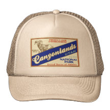 Canyonlands National Park  (Bighorn) Mesh Hats
