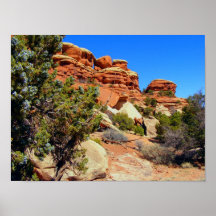 Canyonlands National Park Print