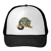Cap - cooroy possum trucker hat