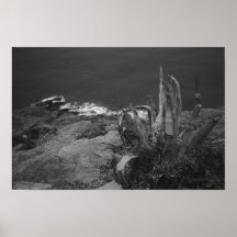 Cape Sounion, Greece Print