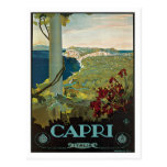 Capri Italia Italy Vintage Travel Poster Art Postcard
