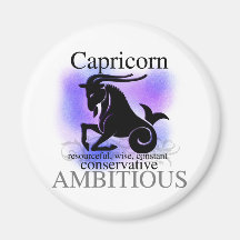 Capricorn About You Fridge Magnets