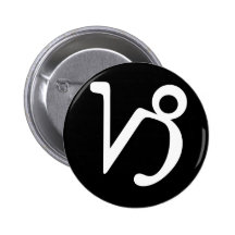 Capricorn Pin