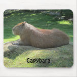 Capybara - Giant Rodent Mousepad