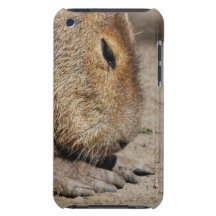 Capybara iTouch Case iPod Touch Cover