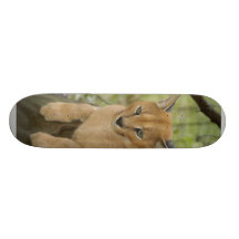 CaracalBCR043 Skateboard