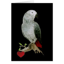 Card - African Grey Parrot