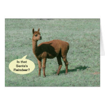 Card - greeting - Sighting Santas Reindeer