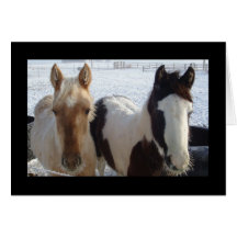 Card - Horses