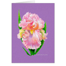 Card - Pink Iris