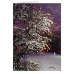 Card - Snowy Winter
