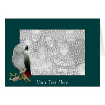 Card Template - African Grey Parrot