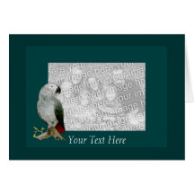 Card Template - African Grey Parrot
