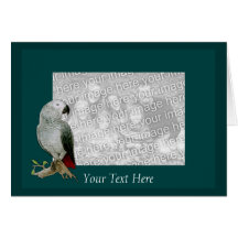 Card Template - African Grey Parrot