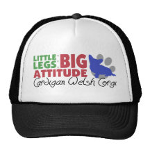 Cardigan Little Legs Hat