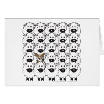 Cardigan Welsh Corgi in the Sheep