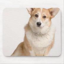 Cardigan Welsh Mousepad