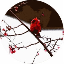 Cardinal Acrylic Cut Outs