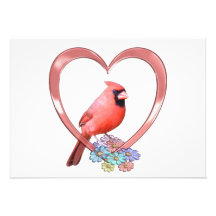 Cardinal in Heart Announcements
