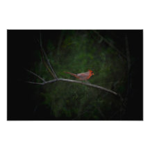 Cardinal in Winter Wall Decor Print Photo