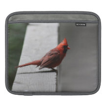 cardinal ipad case iPad sleeves