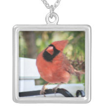 Cardinal Necklaces