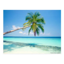 caribean beach post card