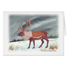 Caribou Cards