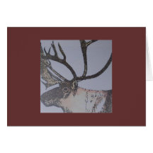 caribou greeting card