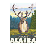 Caribou in the Wild - Latouche, Alaska Stretched Canvas Print