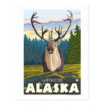 Caribou in the Wild - Latouche, Alaska Postcards