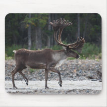 Caribou Mousemats
