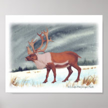 Caribou print