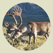 Caribou / Reindeer Lovers stickers