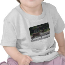 Caribou Shirt