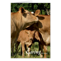 Caring 2012 greeting card