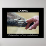 Caring Poster