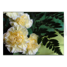 "Carnations and Ferns" Greeting Card