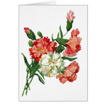 carnations cards