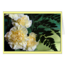 "Carnations" Greeting Card