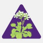 Carnivorous Plant Floral Stickers