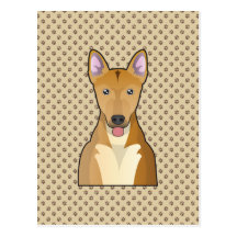 Carolina Dog Cartoon Postcard