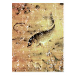 Carp Postcard