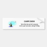 carpe-diem-seize-the-day-and-all-company-assets bumper stickers