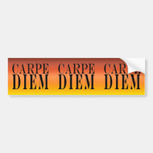 Carpe Diem Seize the Day Latin Quote Happiness Bumper Stickers