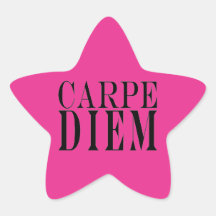 Carpe Diem Seize the Day Latin Quote Happiness Stickers