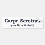 Carpe Scrotum Bumper Stickers