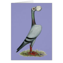 Carrier Pigeon 2012 Greeting Card