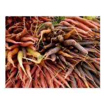 Carrots Postcard
